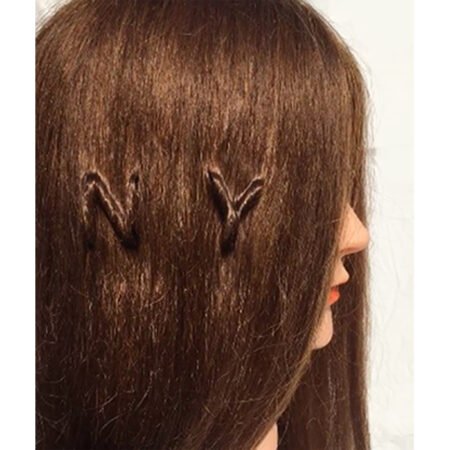 NY Hair Sculpture Art
